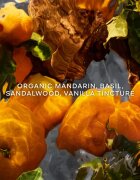 GUERLAIN Aqua Allegoria Mandarine Basilic Forte dárková sada limitovaná edice pro ženy 1 ks