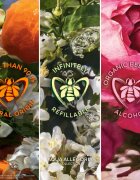 GUERLAIN Aqua Allegoria Rosa Verde dárková sada pro ženy
