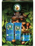 Herbal Essences Argan Oil Repair Gift Set dárková sada pro poškozené vlasy