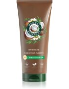 Herbal Essences Coconut Scent Hydrate kondicionér pro výživu a hydrataci 250 ml