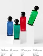 HERMÈS Colognes Collection Eau de Basilic Pourpre kolínská voda unisex 100 ml