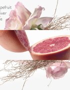 HERMÈS Concentré de Pamplemousse Rose toaletní voda unisex 100 ml