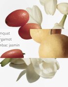 HERMÈS Parfums-Jardins Collection Le Jardin de Monsieur Li toaletní voda plnitelná unisex 50 ml
