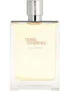 HERMÈS Terre d’Hermès Eau Givrée parfémovaná voda plnitelná pro muže 175 ml