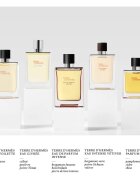 HERMÈS Terre d’Hermès Eau Intense Vétiver parfémovaná voda pro muže 50 ml
