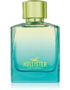 Hollister Wave 2 toaletní voda pro muže 50 ml