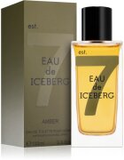 Iceberg Eau de Amber toaletní voda pro muže 100 ml