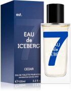 Iceberg Eau de Cedar toaletní voda pro muže 100 ml