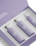 ICONIQUE Professional COOL LIKE YOU Perfect Blonde & Silver Violet Set sada neutralizující žluté tóny