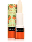 IDC INSTITUTE Skin Food balzám na rty odstín Mango 3.5 g