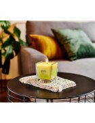 ípuro Essentials Lime Light vonná svíčka 125 g