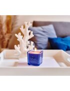 ípuro Essentials Sunny Beachtime vonná svíčka 125 g