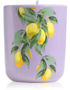 ípuro Travel The World Amalfi vonná svíčka s víčkem 270 g