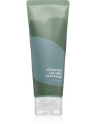 Isntree Real Mugwort hloubkově čisticí maska pro problematickou a mastnou pokožku 100 ml