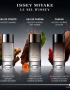 Issey Miyake Le Sel d'Issey parfém pro muže 50 ml