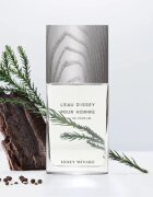 Issey Miyake L'Eau d'Issey Pour Homme parfémovaná voda pro muže 125 ml