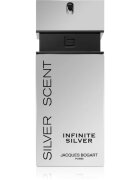 Jacques Bogart Silver Scent Infinite Silver toaletní voda pro muže 100 ml