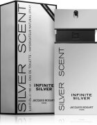 Jacques Bogart Silver Scent Infinite Silver toaletní voda pro muže 100 ml