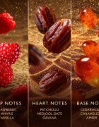 Jawhara Sweet Dates parfémovaná voda unisex 100 ml