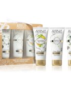 Jeanne en Provence Olive/Jasmine/Verbena sada na ruce a nehty