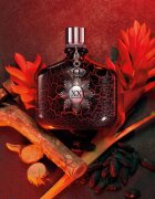 John Varvatos XX Intense parfémovaná voda pro muže 125 ml