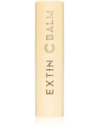 KAHI Extin C Balm Stick hydratační balzám pro rozjasnění a vyhlazení pleti 9 g