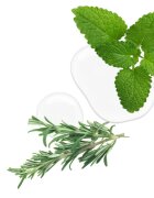 Kallos KJMN Professional Rosemary regenerační a ochranný olej pro poškozené vlasy a roztřepené konečky 50 ml