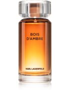 Karl Lagerfeld Bois d´Ambre toaletní voda pro muže 100 ml