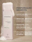KERASILK Essentials Repairing Shampoo čisticí a vyživující šampon pro suché a poškozené vlasy 250 ml