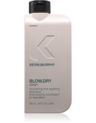 Kevin Murphy Blow.Dry Wash vyživující šampon pro lámavé a namáhané vlasy 250 ml