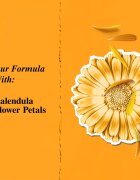 Kiehl's Calendula Herbal-Extract Toner pleťové tonikum bez alkoholu 250 ml