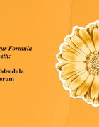 Kiehl's Calendula Serum-Infused Water Cream lehký hydratační denní krém pro všechny typy pleti včetně citlivé 50 ml