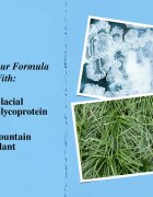 Kiehl's Ultra Facial Cream lehký hydratační denní krém SPF 30 50 ml