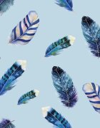 Kolorky Day Feathers jednorázové EKO pleny velikost L 8-13 Kg 19 ks