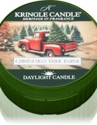 Kringle Candle Christmas Tree Farm Daylight Candle čajová svíčka 42 g