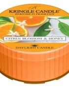 Kringle Candle Citrus Blossom & Honey čajová svíčka 42 g