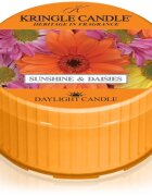 Kringle Candle Sunshine & Daisies čajová svíčka 42 g