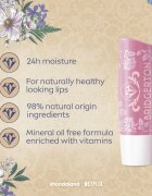 Labello Bridgerton Rose tónovací hydratační balzám na rty 4.8 g