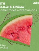 Labello Disney Princess Watermelon Shine hydratační balzám na rty 4.8 g