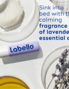 Labello Lip Care balzám na rty výhodné balení