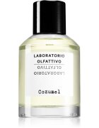 Laboratorio Olfattivo Cozumel parfémovaná voda pro muže 100 ml