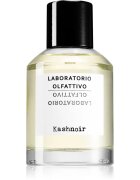 Laboratorio Olfattivo Kashnoir parfémovaná voda unisex 100 ml