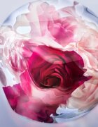 Lancôme La Vie Est Belle Rose Extraordinaire parfémovaná voda pro ženy 50 ml
