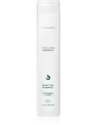 L'anza Healing Strength White Tea Shampoo šampon pro poškozené a křehké vlasy 300 ml