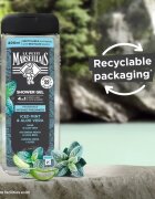 Le Petit Marseillais Máta & Aloe Vera sprchový gel 4 v 1 pro muže 400 ml