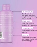 Lee Stafford Bleach Blondes Everyday Care šampon pro blond vlasy 250 ml