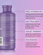 Lee Stafford Bleach Blondes Toning Conditioner tónovací kondicionér pro blond a melírované vlasy 250 ml