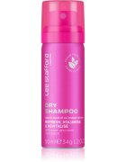 Lee Stafford Styling Original Dry Shampoo suchý šampon pro absorpci přebytečného mazu a pro osvěžení vlasů 50 ml