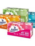 Linteo Paper Tissues Two-ply Paper 200 pcs per box papírové kapesníky 200 ks
