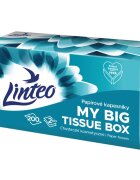 Linteo Paper Tissues Two-ply Paper 200 pcs per box papírové kapesníky 200 ks